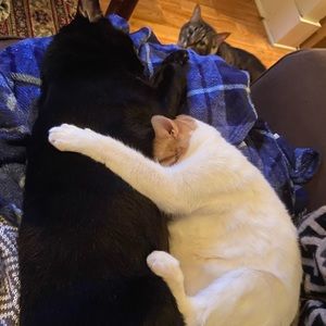 Meet your Posher, Lucy